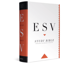 ESVstudyBibleStamper